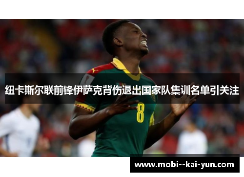 纽卡斯尔联前锋伊萨克背伤退出国家队集训名单引关注