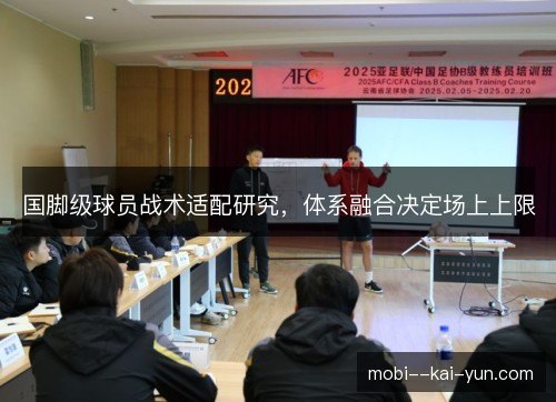 国脚级球员战术适配研究，体系融合决定场上上限