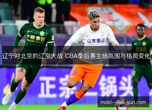 辽宁对北京的辽京大战 CBA季后赛主场氛围与格局变化